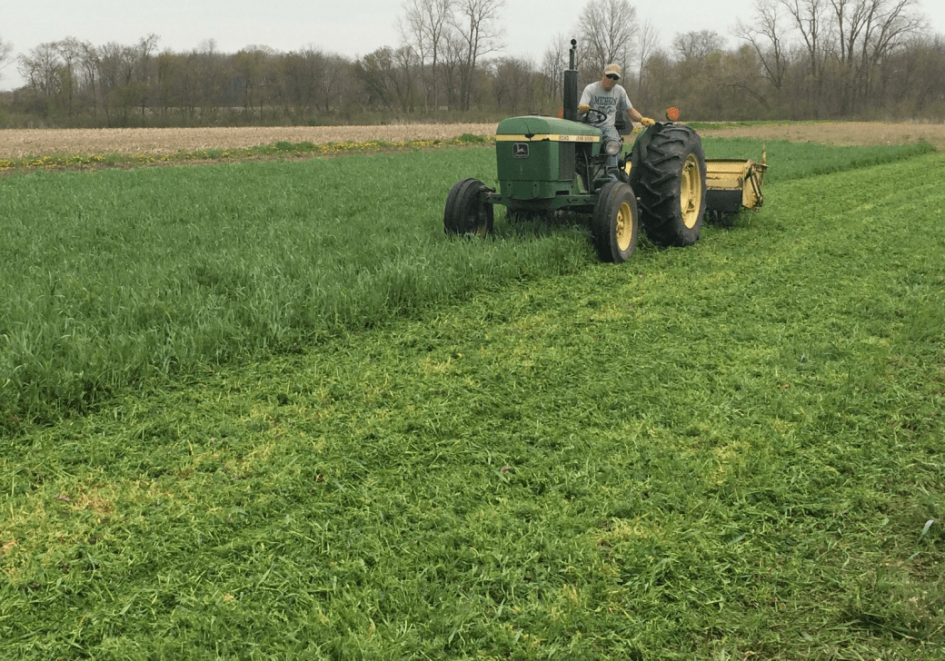 tom-zilke-mows-ryevch